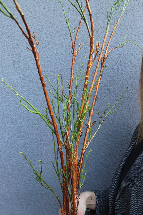 Wiosennie, bukiet gałązek do wazonu