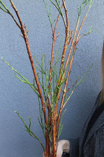 Wiosennie, bukiet gałązek do wazonu