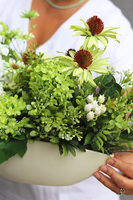 Green World Laos, kompozycja kwiatowa z proteą