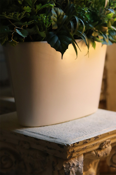 Cruzano New, sukulenty w wąskiej donicy, wym.90x75cm