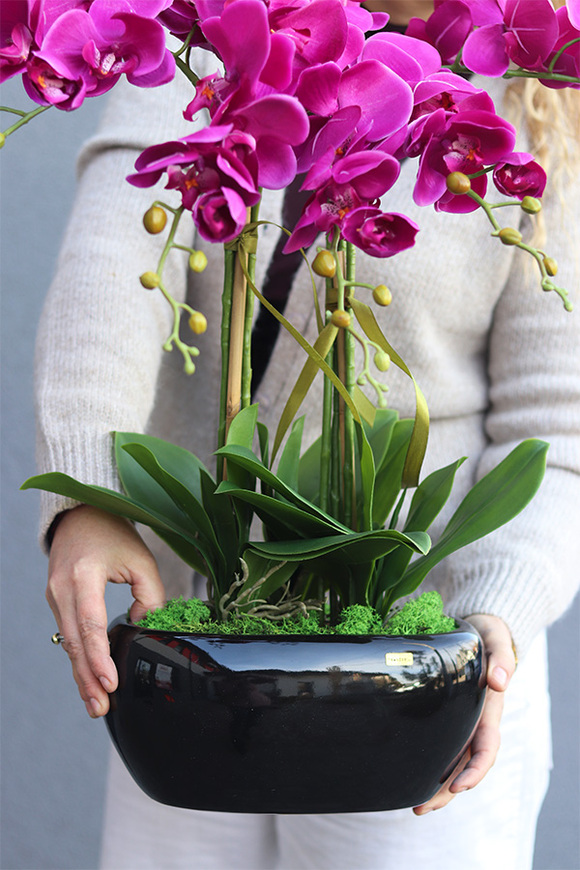 Fuksja Waleria, fuksjowy sztuczny storczyk w donicy