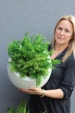 Zielony Dom Herbs, zioła w donicy fiberglass, wys.36cm