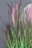 kompozycja z trawami w białej donicy, Pianisto, wys.45cm