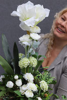 Amarylis Goldia, kompozycja kwiatowa w białej donicy, wys.65cm 