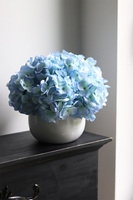 Błękit, kompozycja kwiatowa z niebieskich hortensji