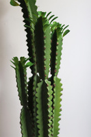 Kaktus Spain, sztuczna roślina