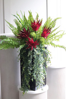 Red Flowers Paline, sukulenty w czarnej donicy