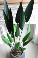 Strelicja Concrete, sztuczna roślina w donicy