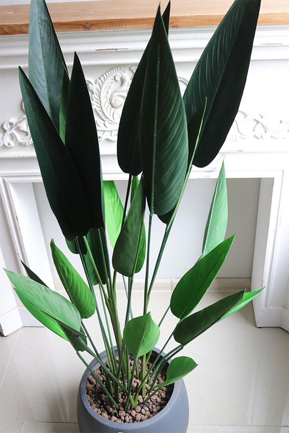 Strelicja Concrete, sztuczna roślina w donicy