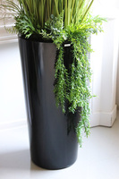 Green Terrance Cone, wysoka trawa w donicy fiberglass