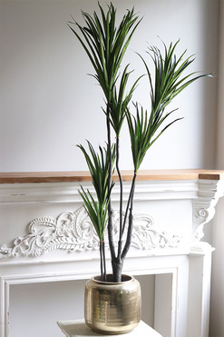 Dracena Goldigo, sztuczna roślina w doniczce, wys.137cm 
