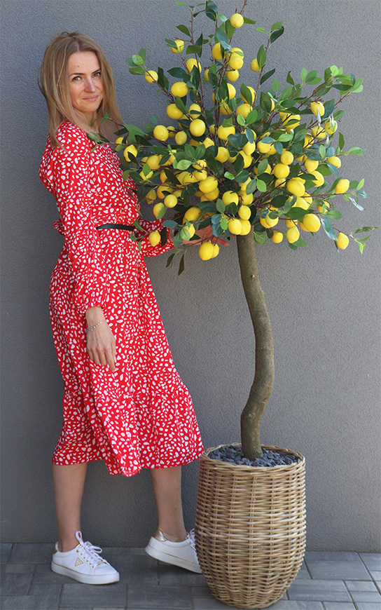 Limoncella Basket, sztuczne drzewko cytrynowe w koszu