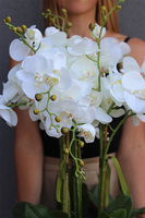 Hillton Gold, sztuczny storczyk w złotej misie