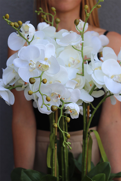 Hillton Gold, sztuczny storczyk w złotej misie