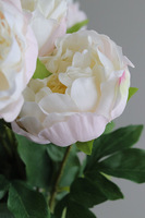 Real Peony, bukiet realistycznych peonii