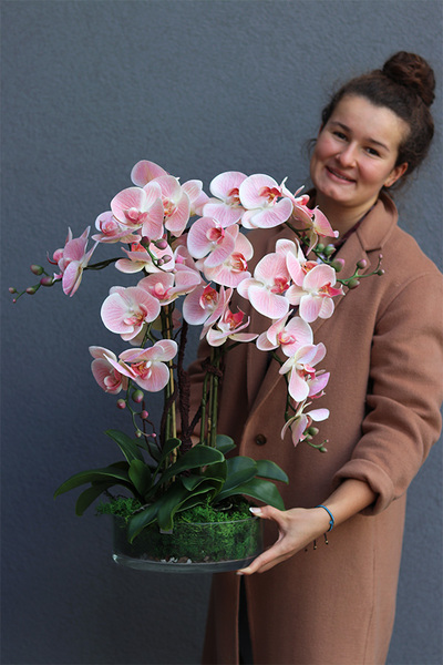 Pink Glassier, gumowy storczyk w szklanej misie