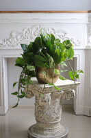 Epipremnum Gold Hilton, kwiat sztuczny w donicy