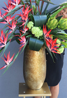 Princera Rubinowa Strelicja 2, kompozycja w złotej donicy