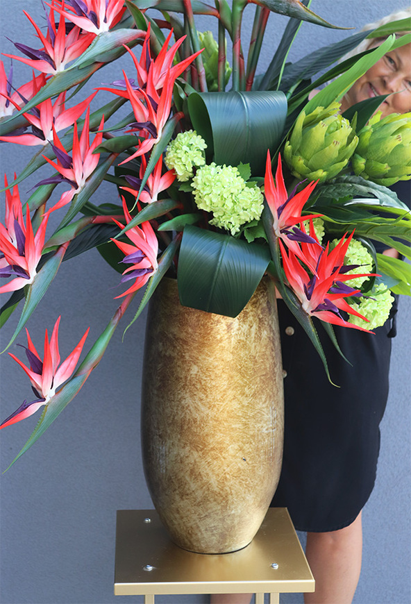 Princera Rubinowa Strelicja 2, kompozycja w złotej donicy