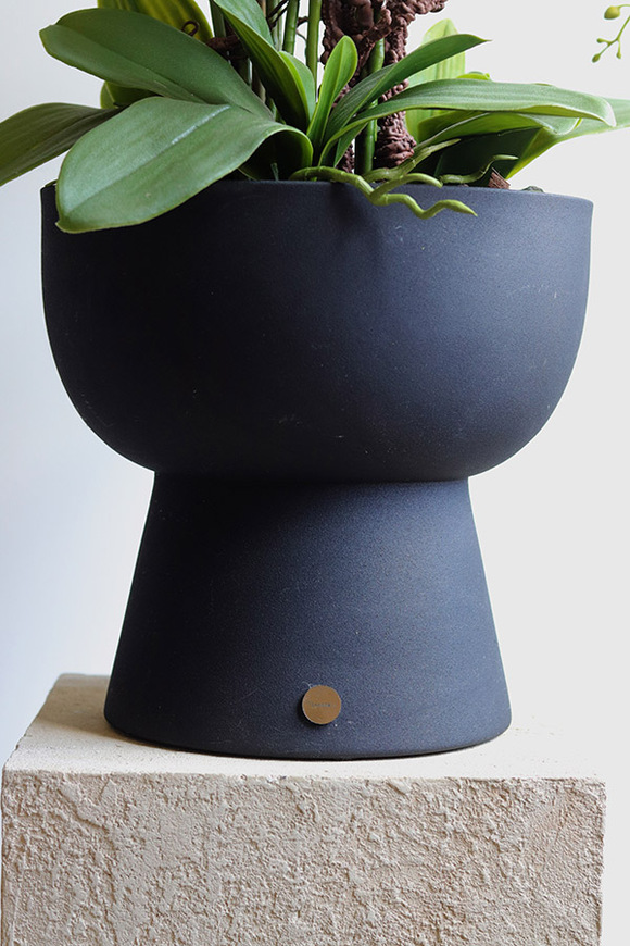 Moderna, duży storczyk w pucharze