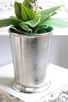 Cooler Old Times, ekskluzywny storczyk w coolerze