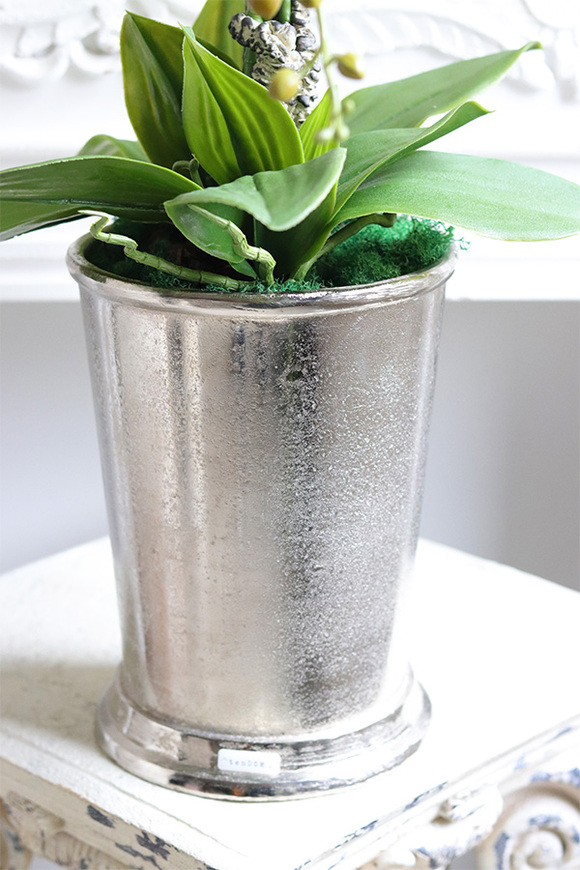 Cooler Old Times, ekskluzywny storczyk w coolerze