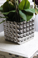 Purple Silveria 2, fioletowy storczyk w srebrnej donicy