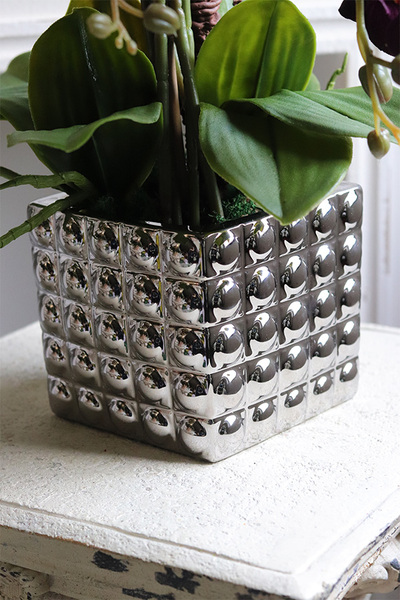 Purple Silveria 2, fioletowy storczyk w srebrnej donicy