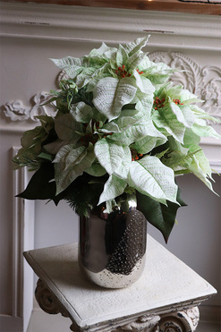 Gwiazda Betlejemska Kreona Biel, kompozycja świąteczna, wys.57cm