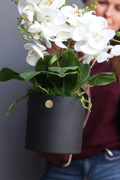 Black Ellia, sztuczny storczyk w metalowej donicy