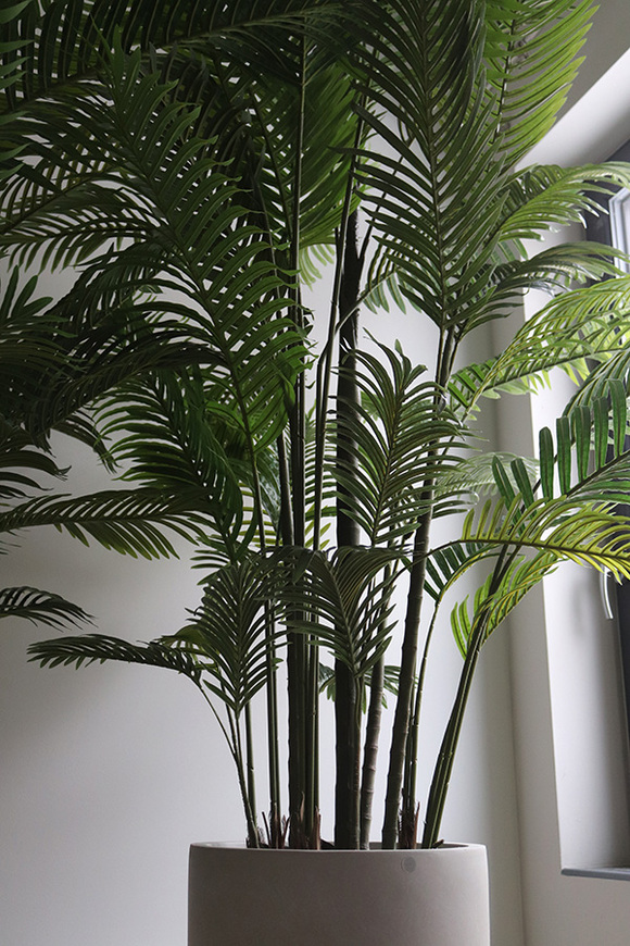 Areca Ibis Concrete, sztuczna palma w betonowej donicy