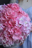 Romantica, flowerbox z różowymi hortensjami