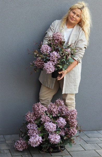 Violet Hortensje Deluxe, bukiet nagrobny we wkładzie do wazonu