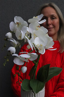 Apolonia Perane Biel, storczyk w ceramicznym pucharze