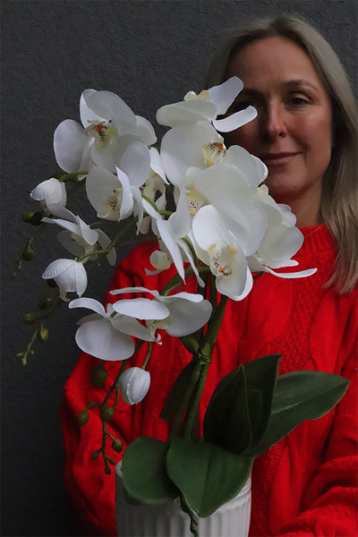 Apolonia Perane Biel, storczyk w ceramicznym pucharze