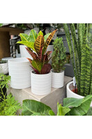 Modeni, osłonka ceramiczna doniczka