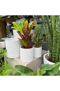 Modeni, osłonka ceramiczna doniczka, wym.15x16cm