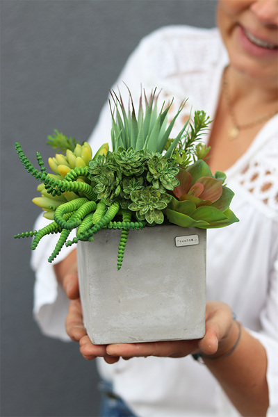 Green Celita B, zielona kompozycja w betonowej donicy