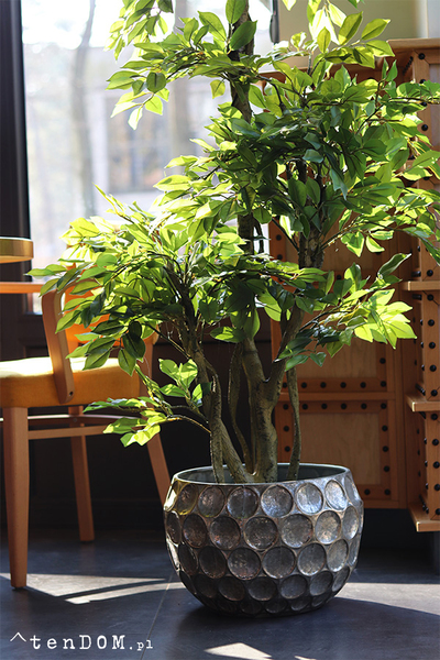 Fikus Benjamin F Silver, sztuczna roślina w metalowej donicy