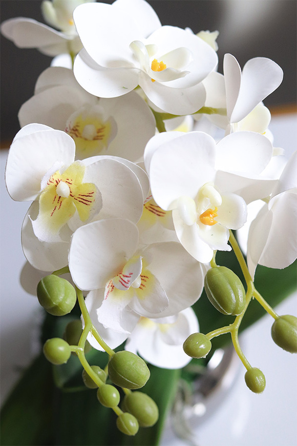 Krena Mini 2, gumowy storczyk w lustrzanej doniczce