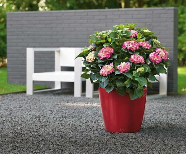 Classico LS, elegancka donica z nawadnianiem czerwona