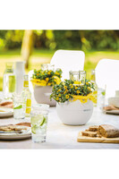 Puro, elegancka donica z nawadnianiem