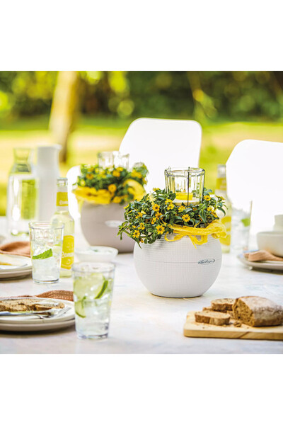 Puro, elegancka donica z nawadnianiem