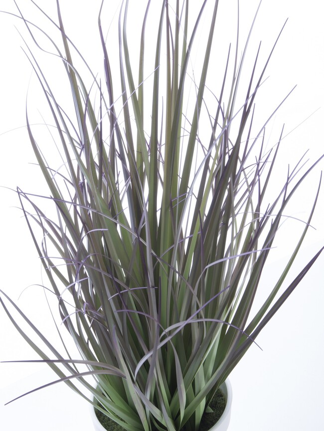 Nicco C, sztuczna trawa z fioletowymi końcami, wys.44cm