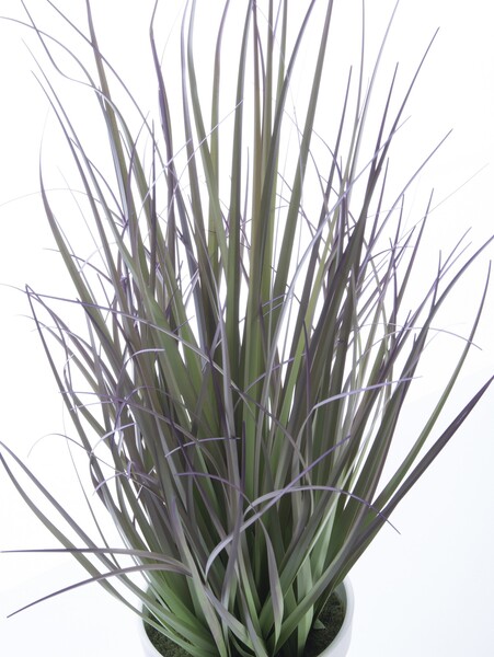 Nicco C, sztuczna trawa z fioletowymi końcami, wys.44cm