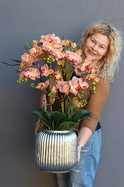 Verriana Granada Albina, gumowy storczyk w srebrnej donicy