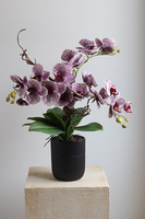 Purple Fantasy, fioletowy sztuczny storczyk w czarnej donicy