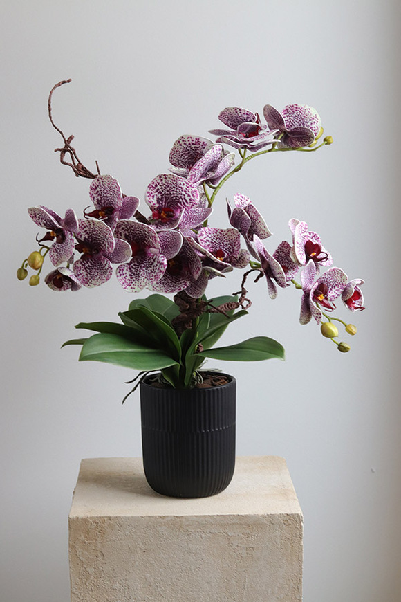 Purple Fantasy, fioletowy sztuczny storczyk w czarnej donicy