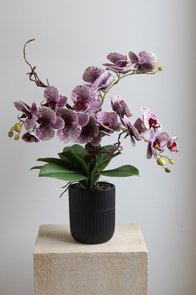 Purple Fantasy, fioletowy sztuczny storczyk w czarnej donicy