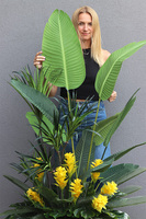 Greenpoint Walter, kompozycja z bromelią w donicy fiberglass